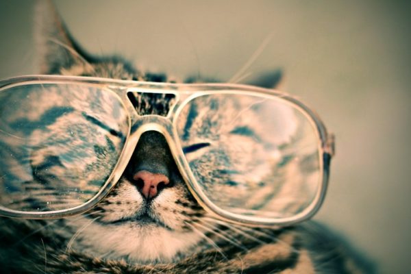 History of Eyeglasses featured image