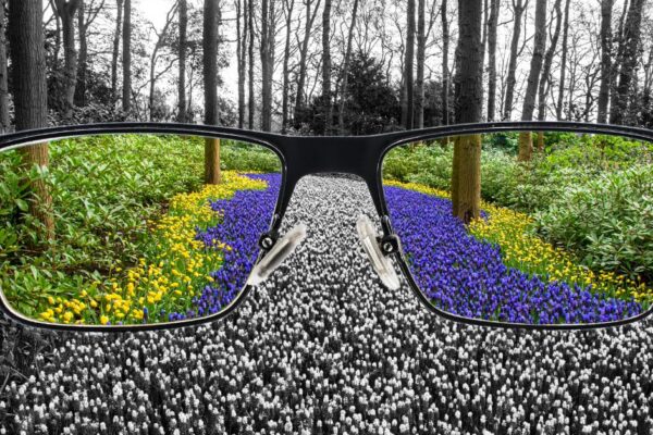 Color Blindness Explained: Types, Tests and Everyday Impacts featured image